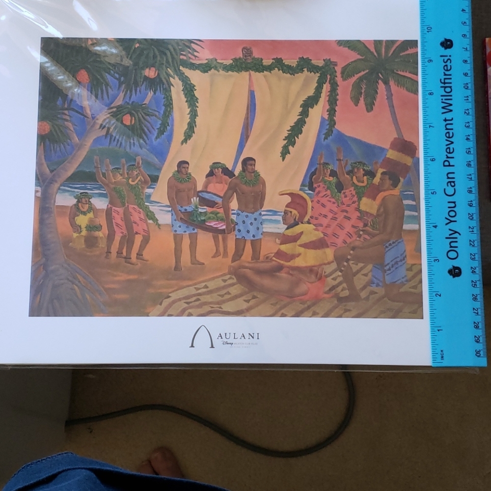 Disney Aulani Print